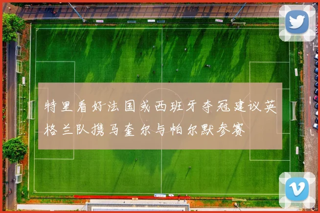特里看好法国或西班牙夺冠建议英格兰队携马奎尔与帕尔默参赛