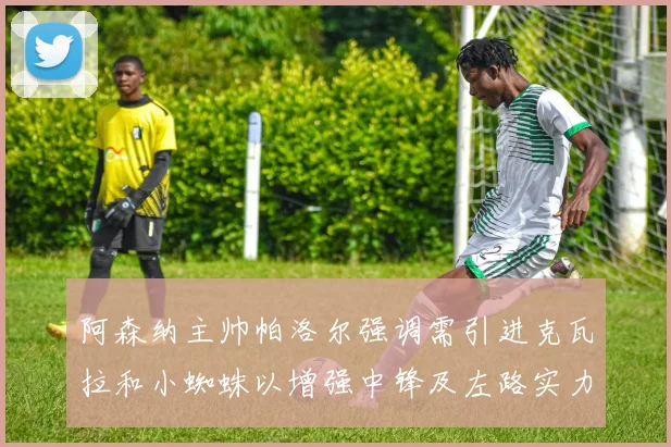 阿森纳主帅帕洛尔强调需引进克瓦拉和小蜘蛛以增强中锋及左路实力