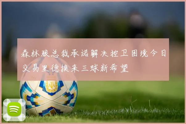 森林狼总裁承诺解决控卫困境今日交易里德换来三球新希望